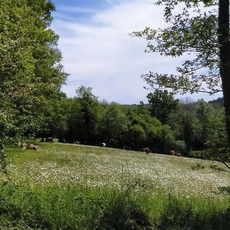 Carazen , Caravane Chauffee Saint-Sylvain-Bellegarde Exteriér fotografie