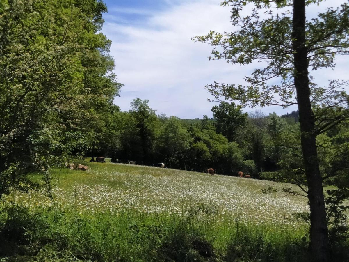 Carazen , Caravane Chauffee Saint-Sylvain-Bellegarde Exteriér fotografie